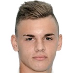 N. Tričković