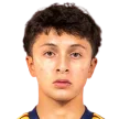 G. Villa