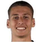 Henrique Menke