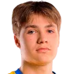 Z. Shevchik