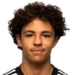 R. Rodriguez