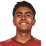 Nicolas Villarroel
