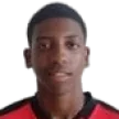 Emerson Buiu