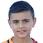 F. Ulupınar