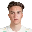 A. Virtanen