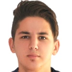 R. Yemişçi