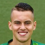 H. van Schaik