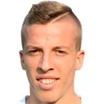 N. Vlajkovic
