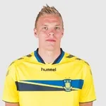 M. Nielsen