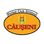 Sinteza Căuşeni