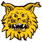 Ilves III