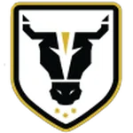 Bulls Academy
