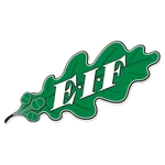EIF Akademi