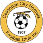 Cessnock City Hornets