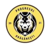 Progresul Draganesti